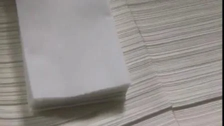 Disposable Dinner Use Custom Printing Hotel Napkin
